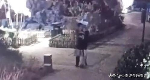 临沂吃瓜视频完整,揭秘当地特色美食与民间风情