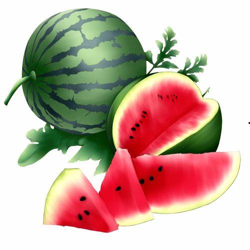 阿维斯塔吃瓜视频,揭秘娱乐圈幕后故事