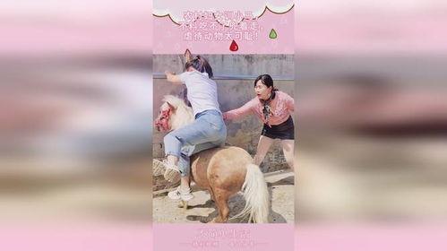 马奶奶吃瓜的视频大全下载,趣味横生的欢乐时光回顾