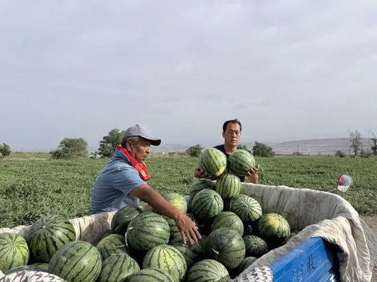 广州越秀区吃瓜事件视频,一场引发热议的街头冲突瞬间