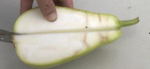 印度人吃葫芦瓜视频大全